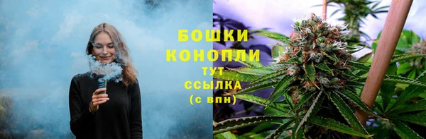 mdma Бородино